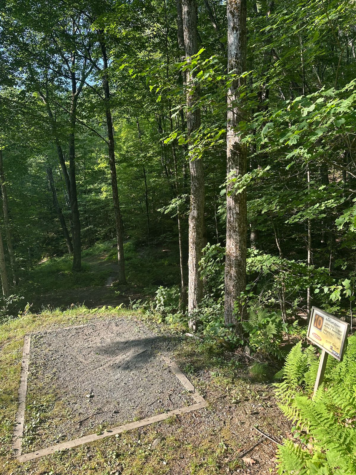 Tee pad 10