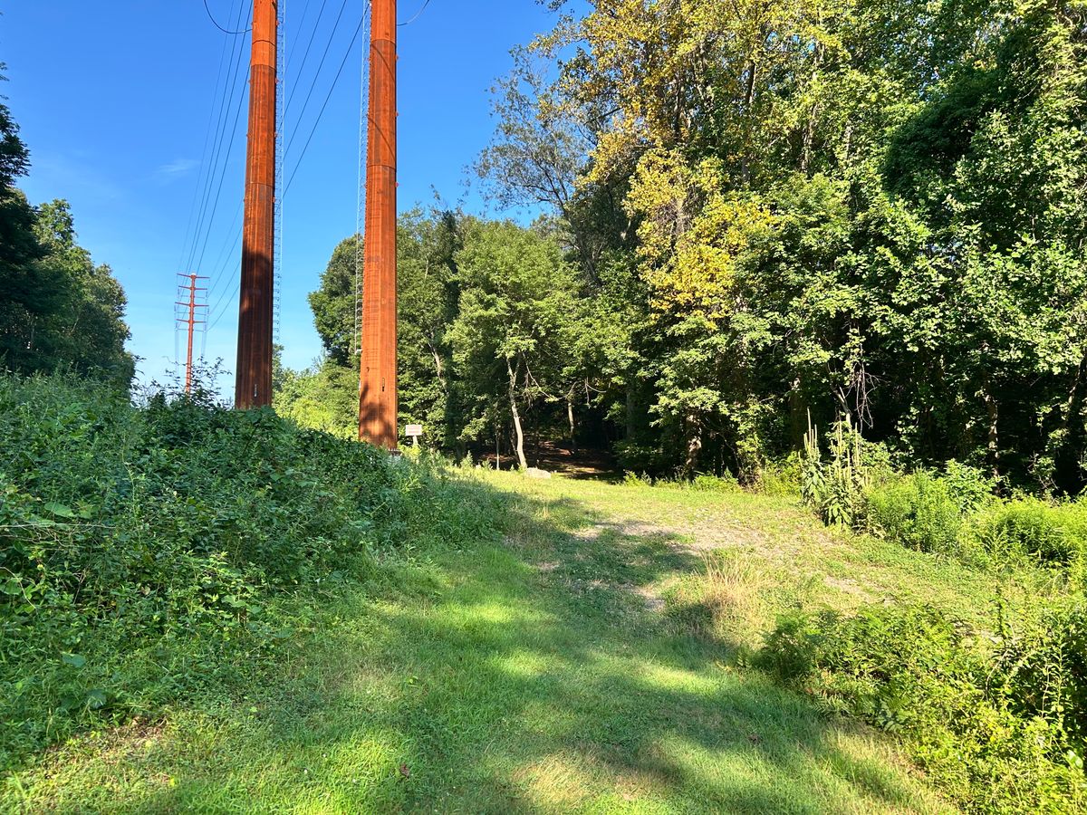 Hole 14