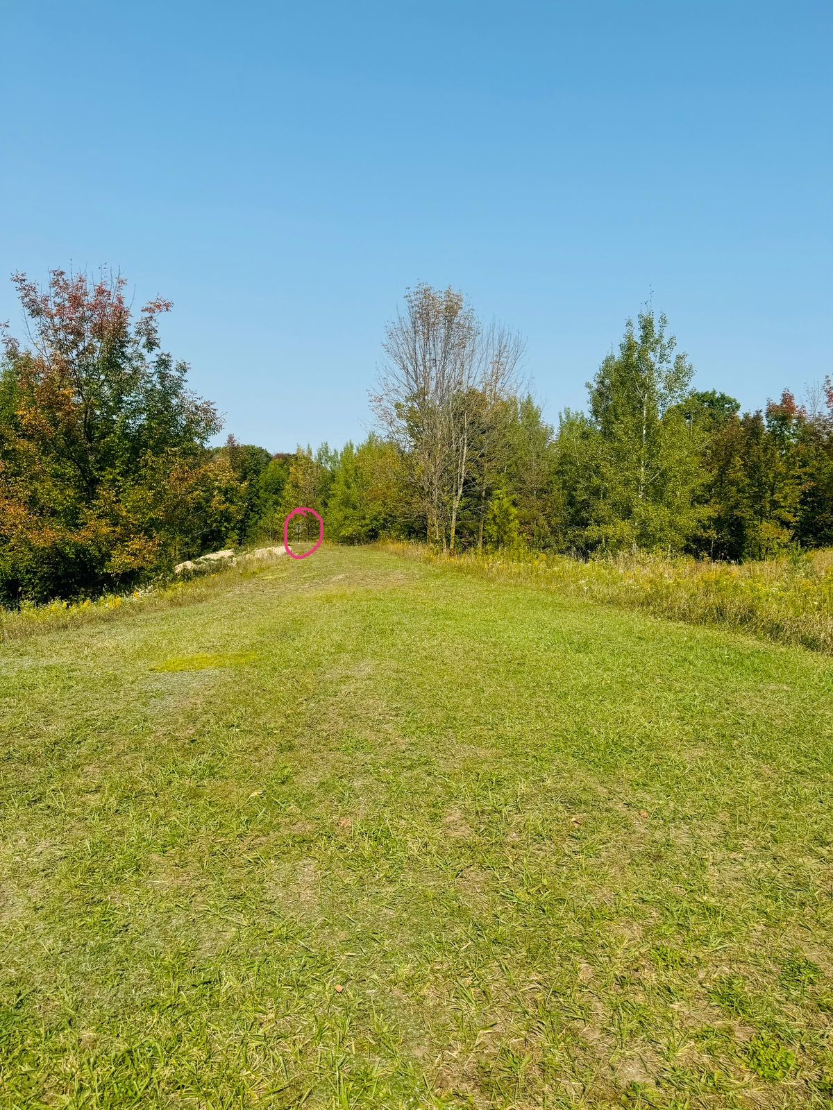 Hole 8 from the tee