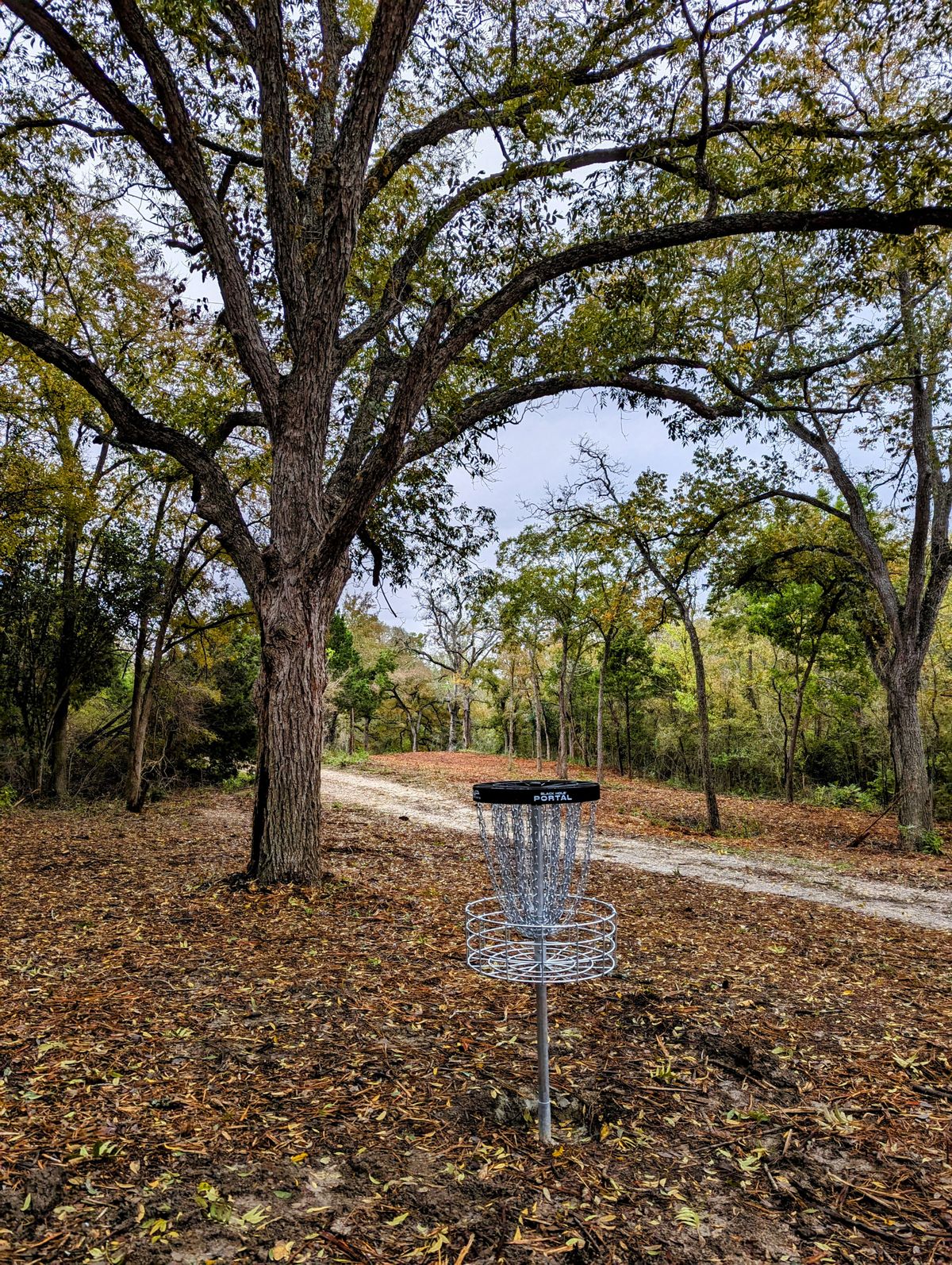 Hole 6 Basket