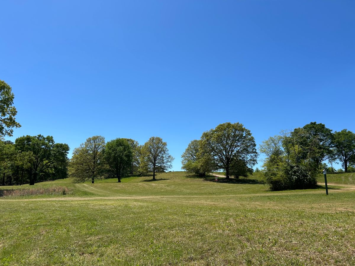 Looking up at Hole 9