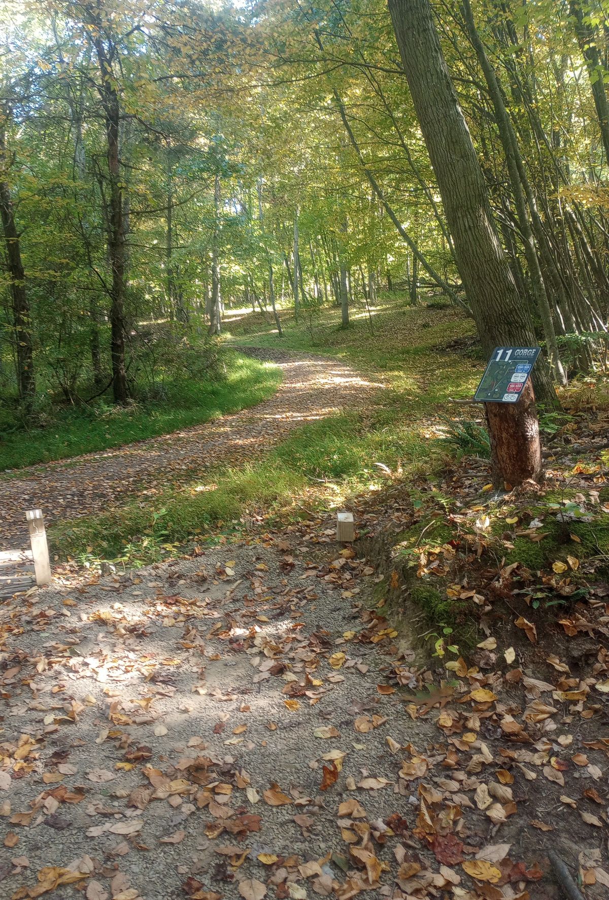 Hole 11 (fall)