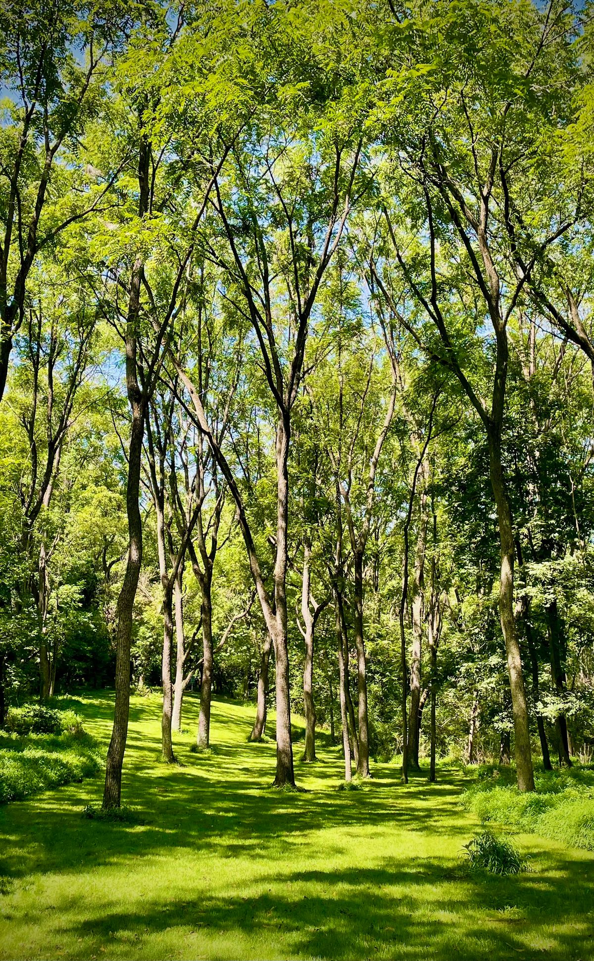 Late summer on hole 14.