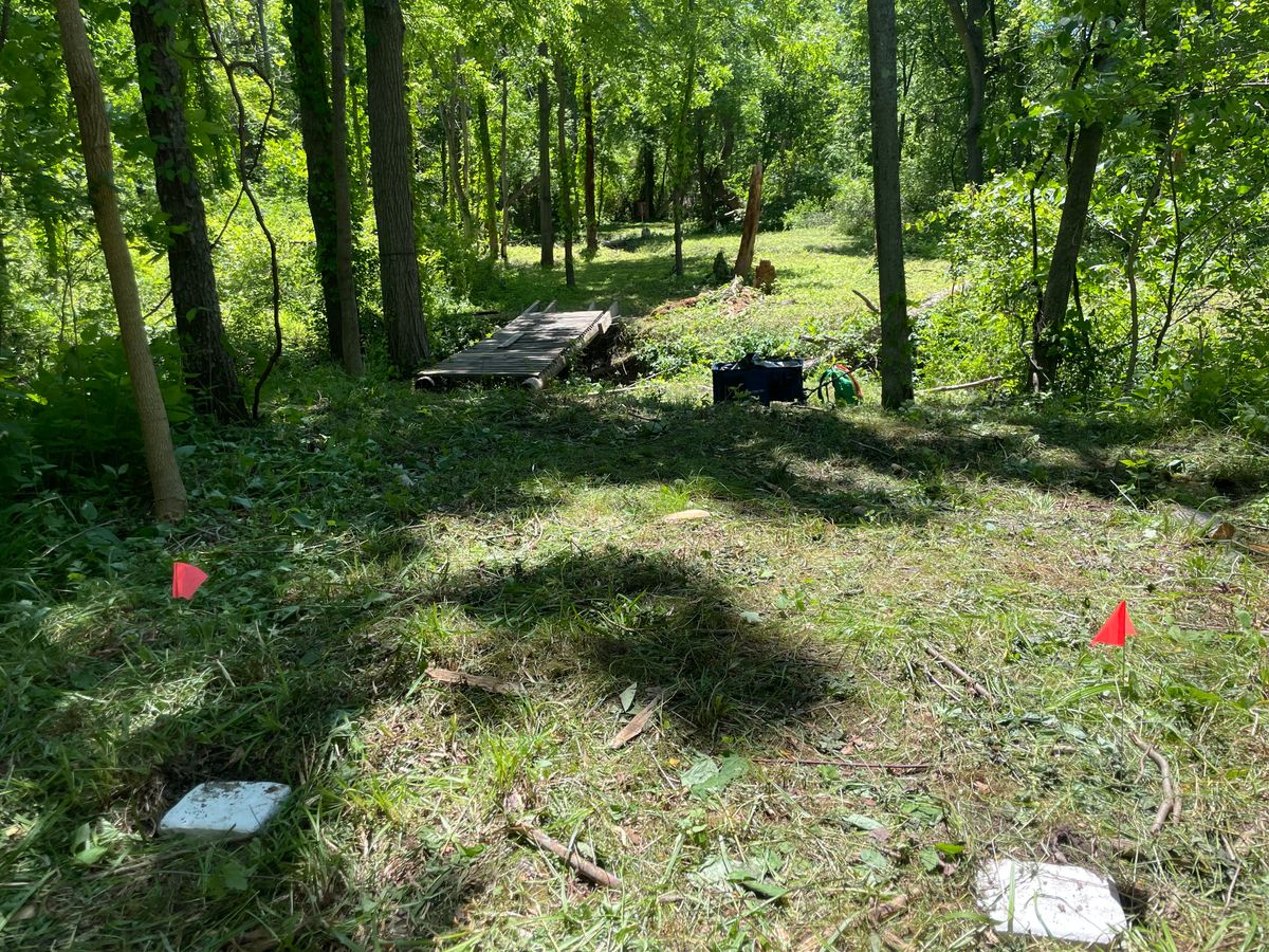 Hole 5 White tee.   226’ three water crossings till the basket.