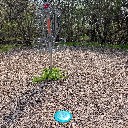 discgolfington