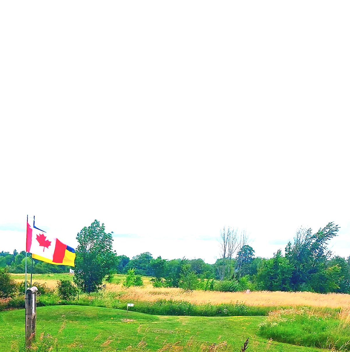 Tee pad 7.