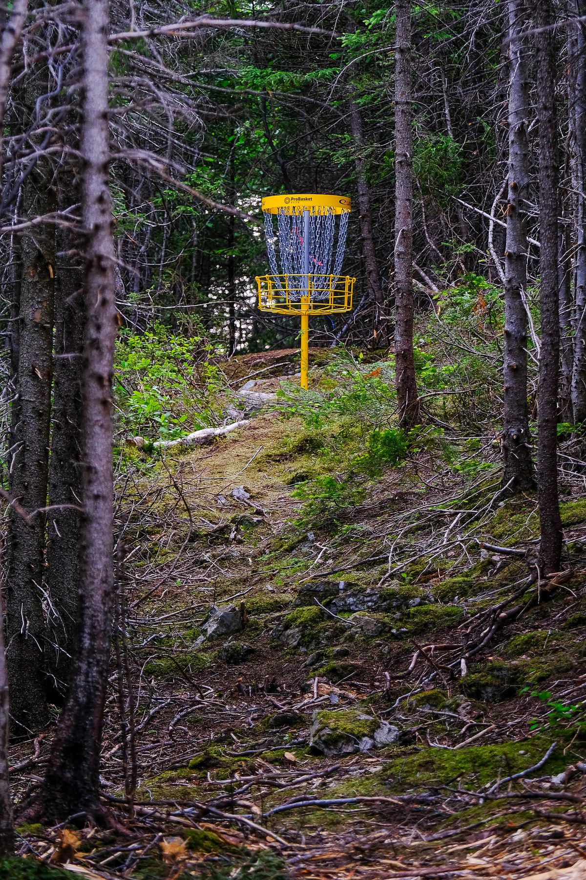 Hole 5
