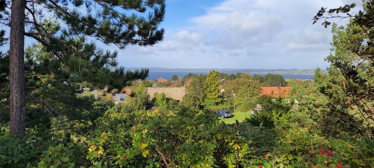 Udsigten