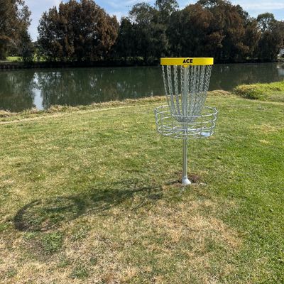Hole 11 basket