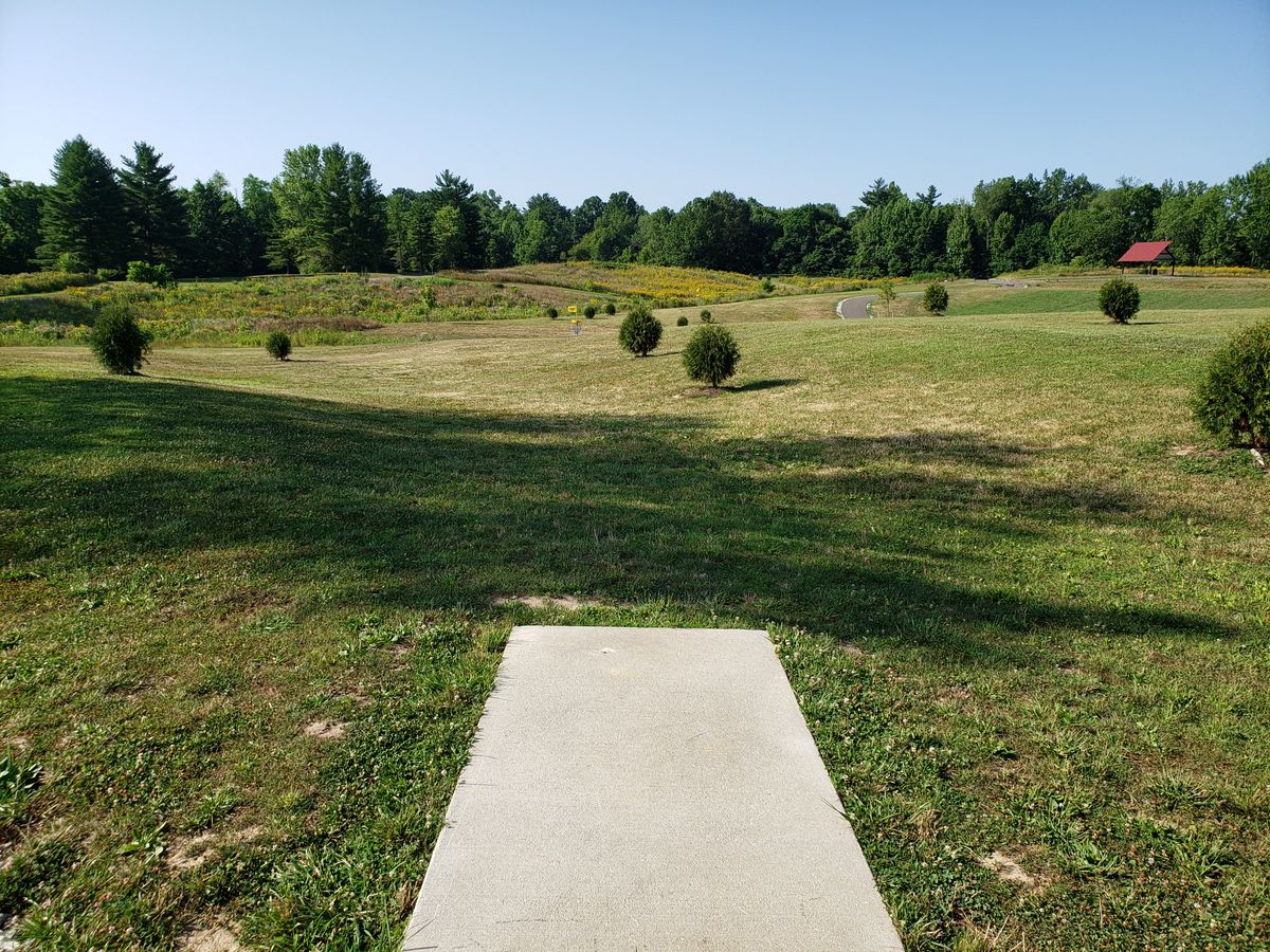 #8 Short Tee shot view.