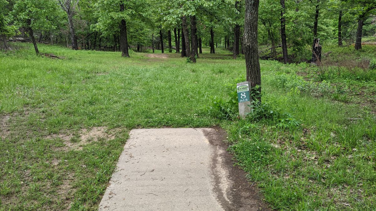 Tee #8