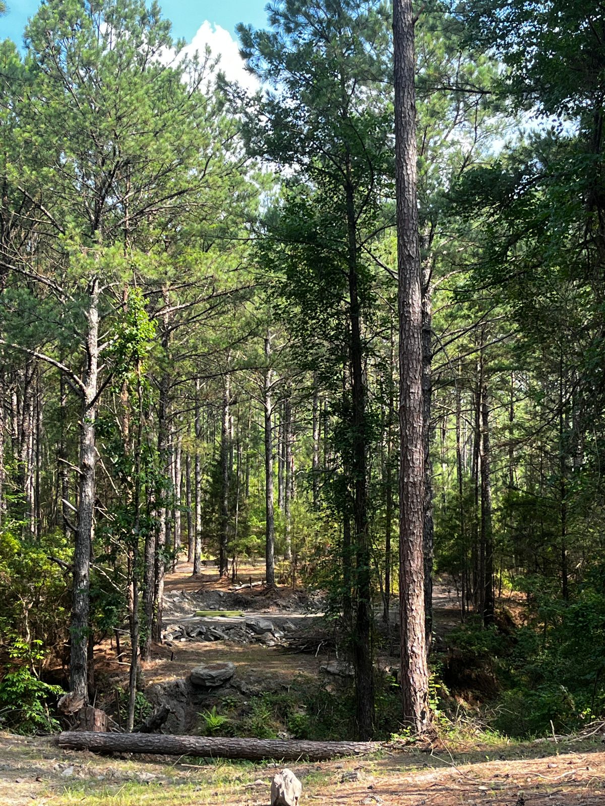 Hole 8