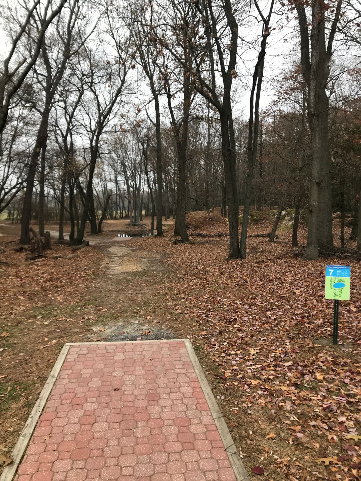 Hole 7 long tee