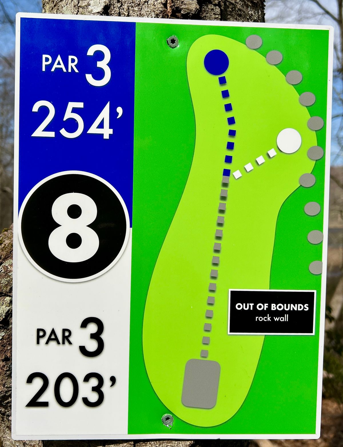 Hole #8