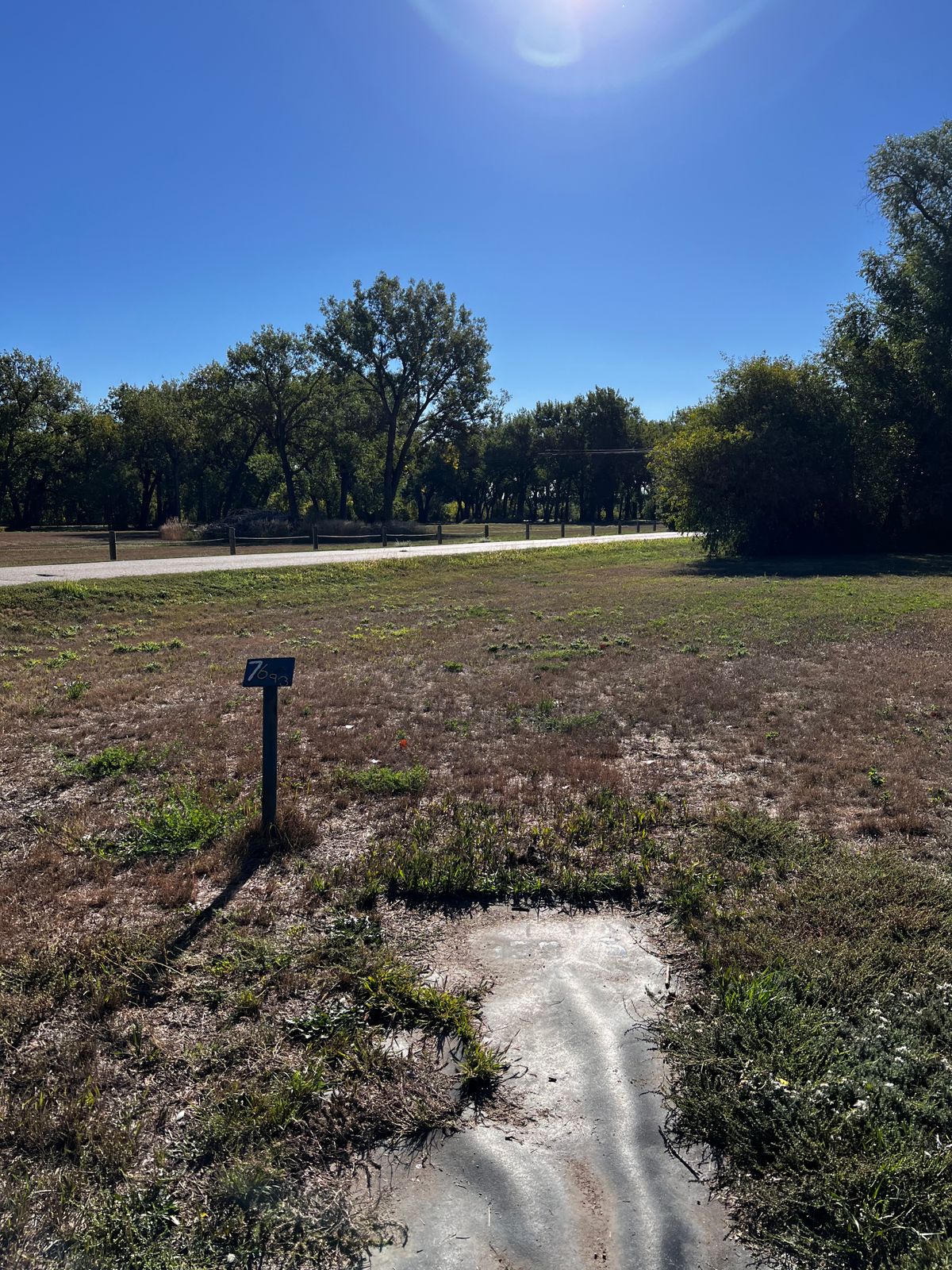 Tee 7