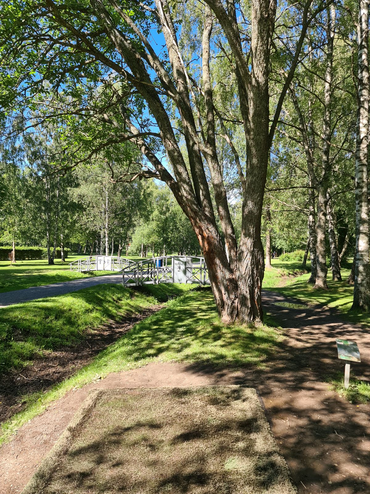 6. Väylän teepaikka. Haastetta tuo suoraan edessä oleva puu ja silta sekä puiston läpi kulkeva polku. Pitää varoa muita puiston käyttäjiä.