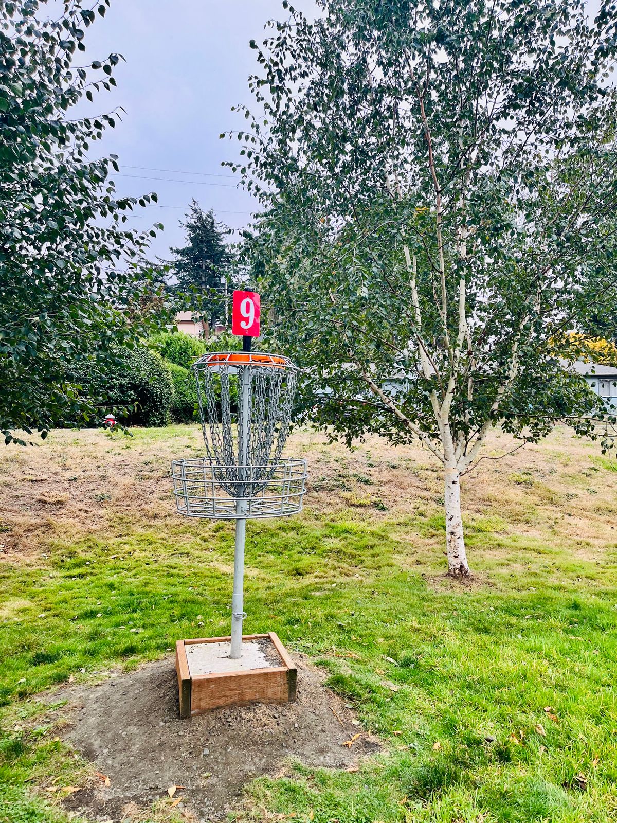 Basket for hole 9 nestled between a few baby aspens