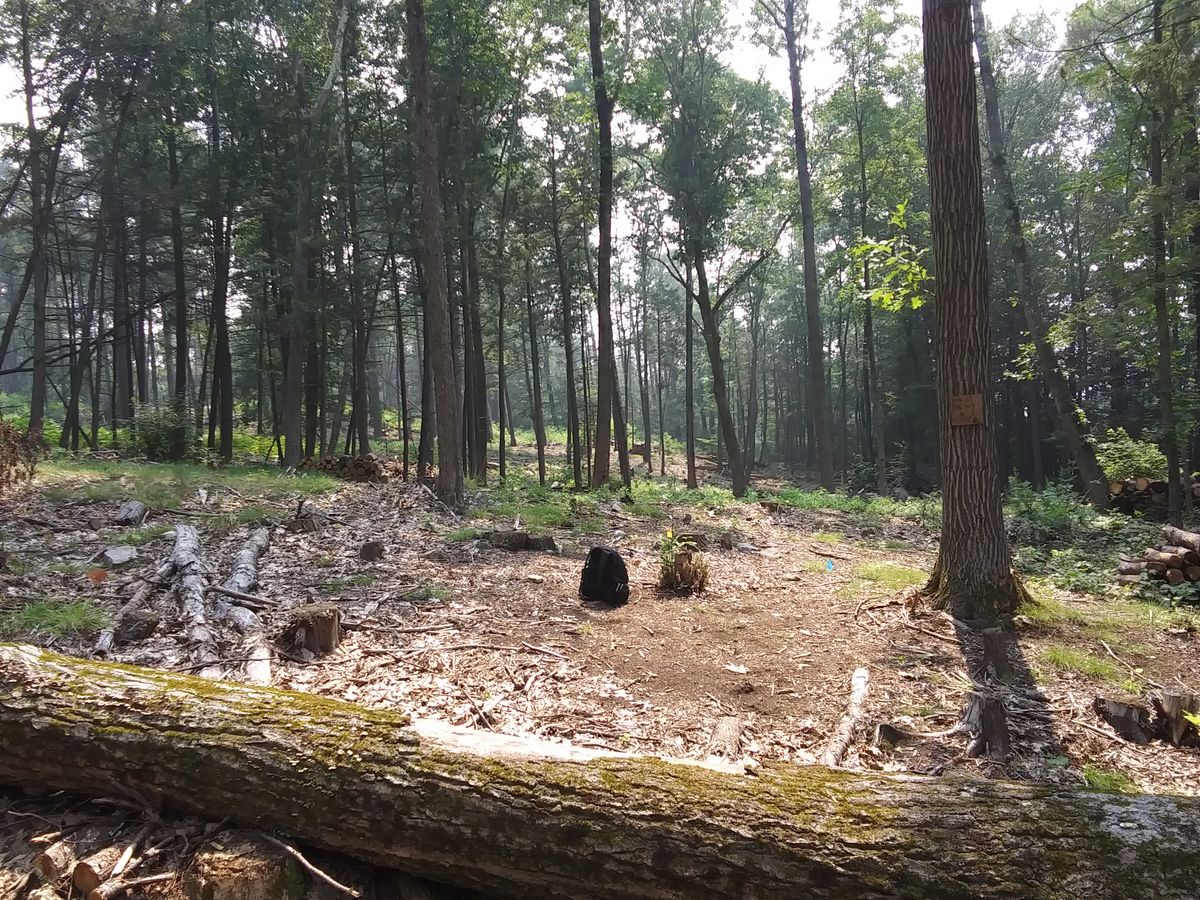 Hole 17, short tee pad.
