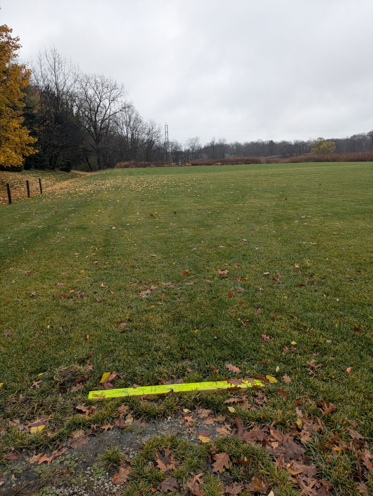 Hole one tee pad, look at basket. Big open field to let your first throw fly!