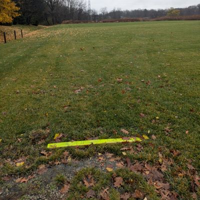 Hole one tee pad, look at basket. Big open field to let your first throw fly!