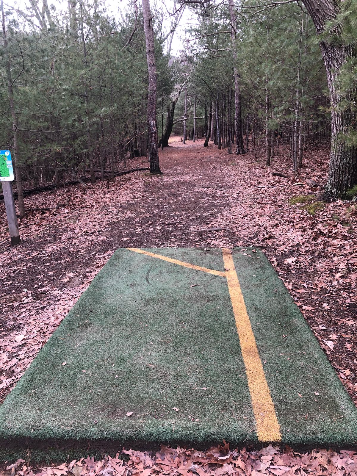 7 tee