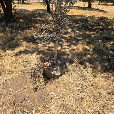 Hole 6.G99d image for this course.