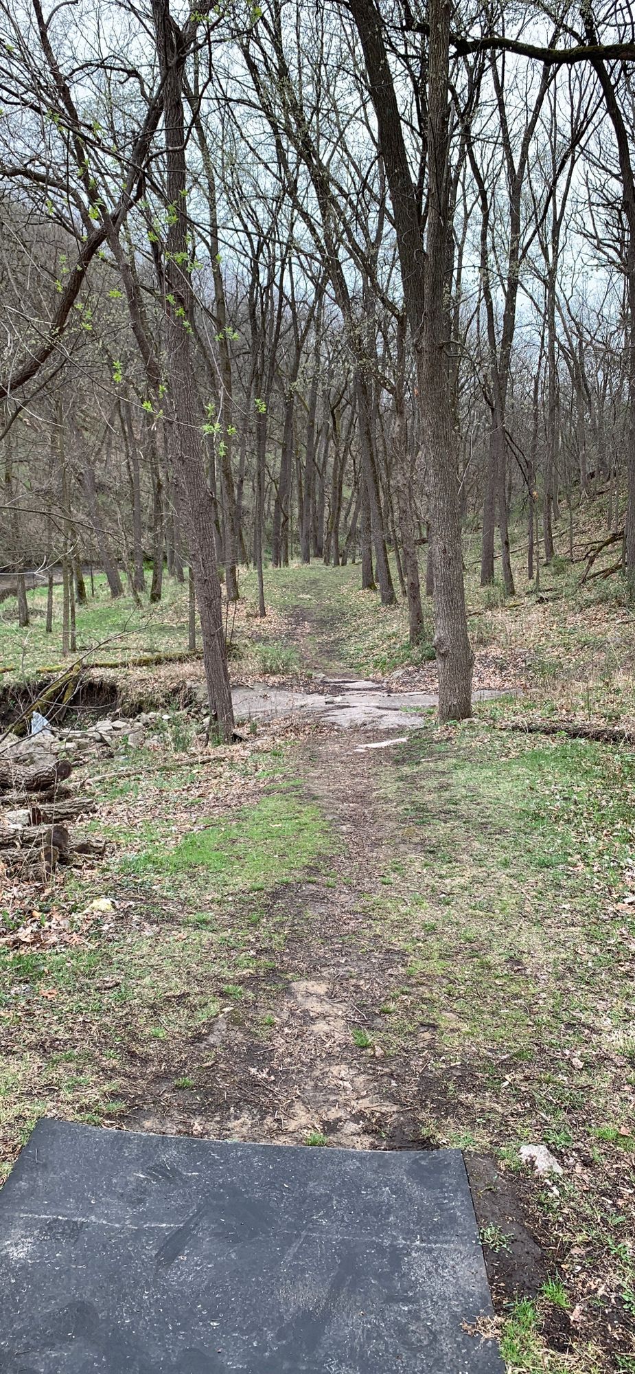 13 tee pad. Somehow one of my favorite holes in Wisco/MN disc golf.