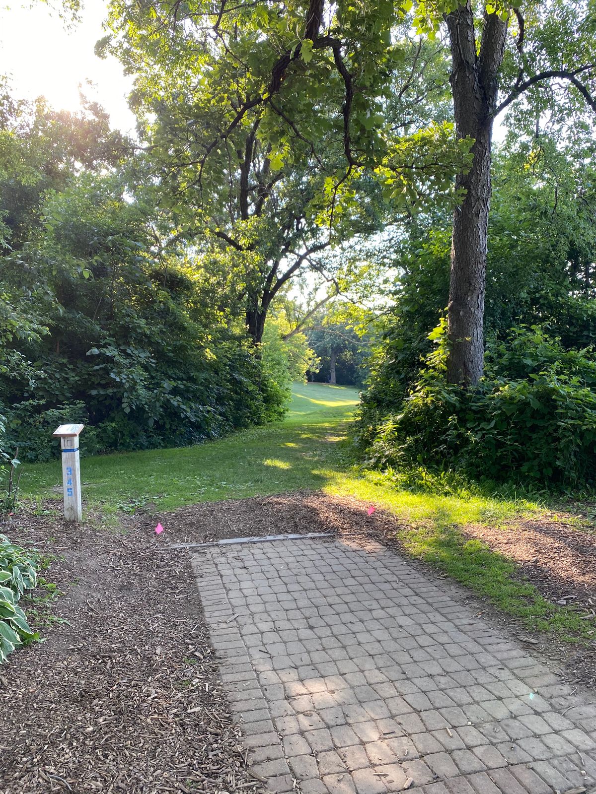#10 Tee Pad (#1 Long)