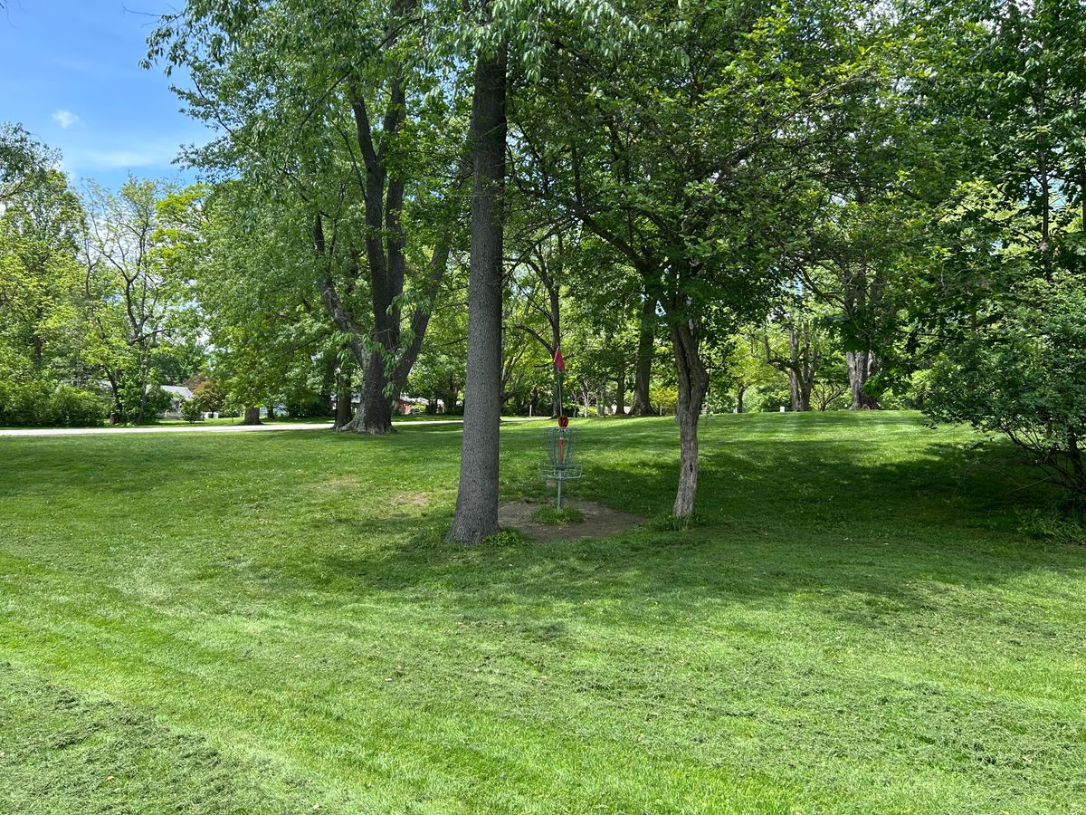 Hole 12 basket