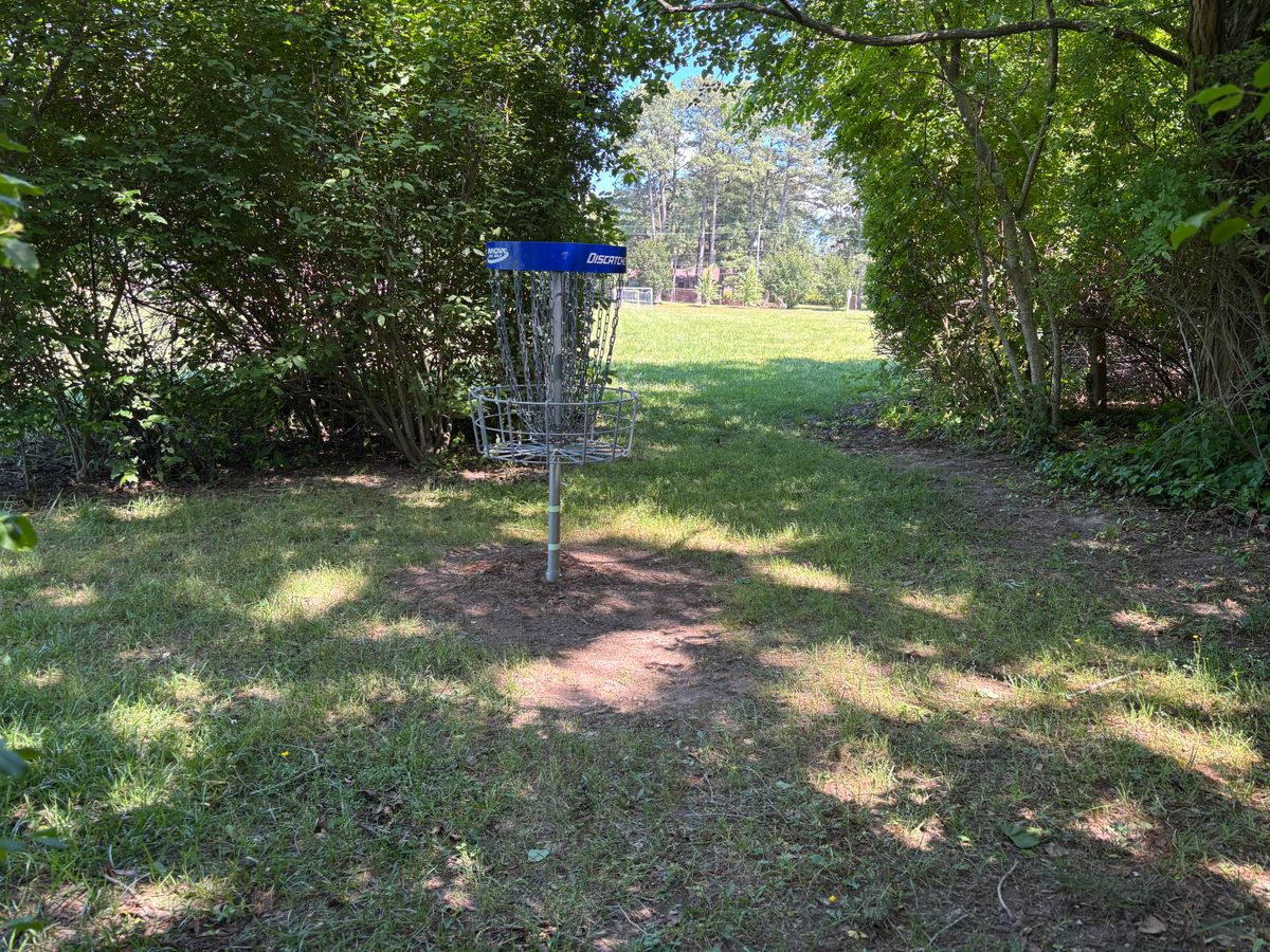 Guarded basket hole 4