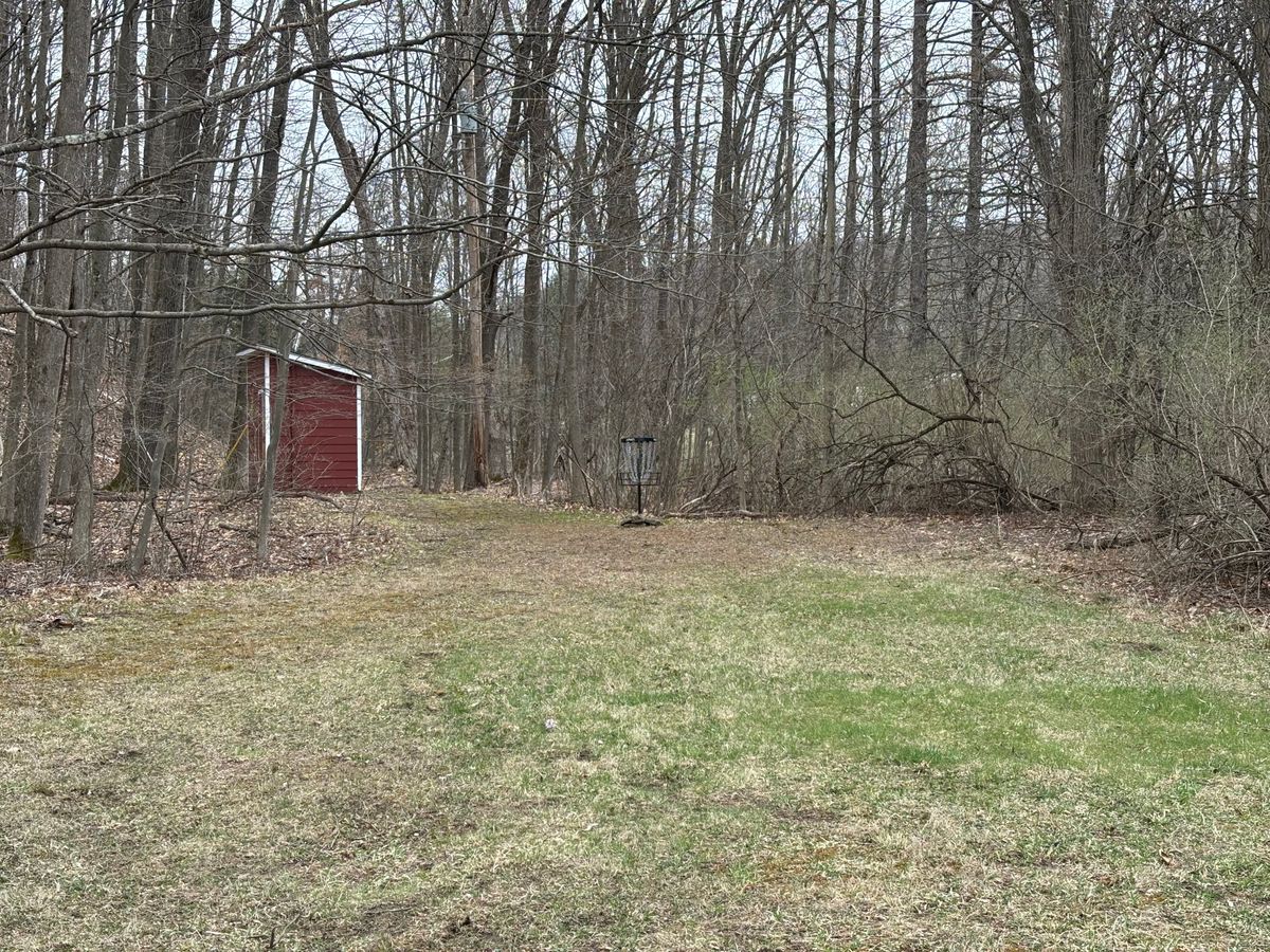 Hole 15 Basket