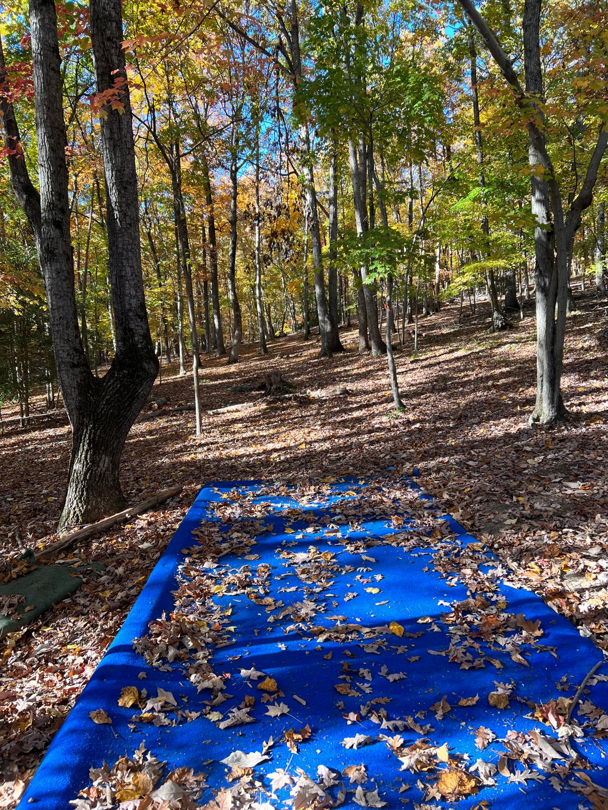 Hole 6