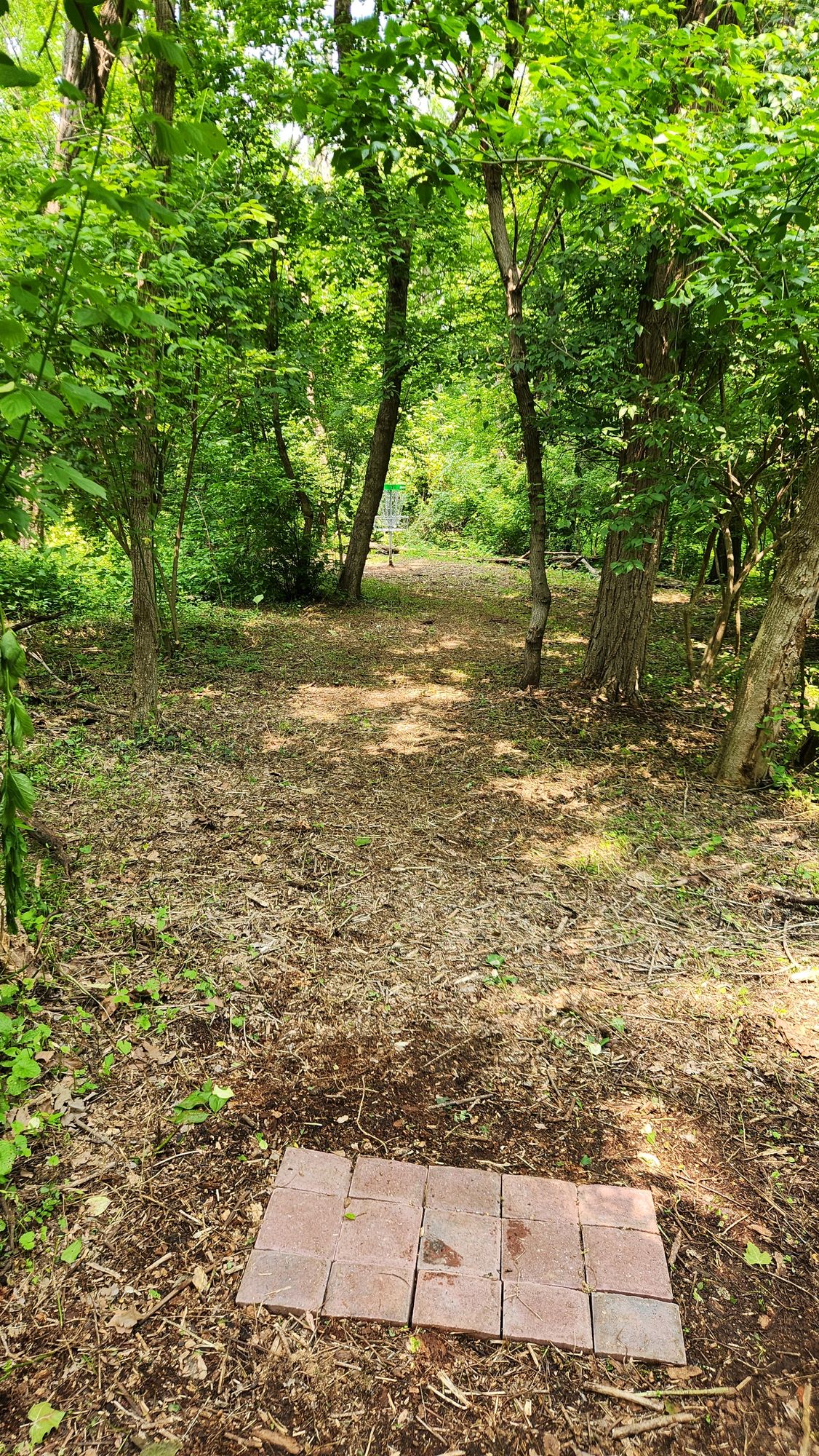 Hole 7