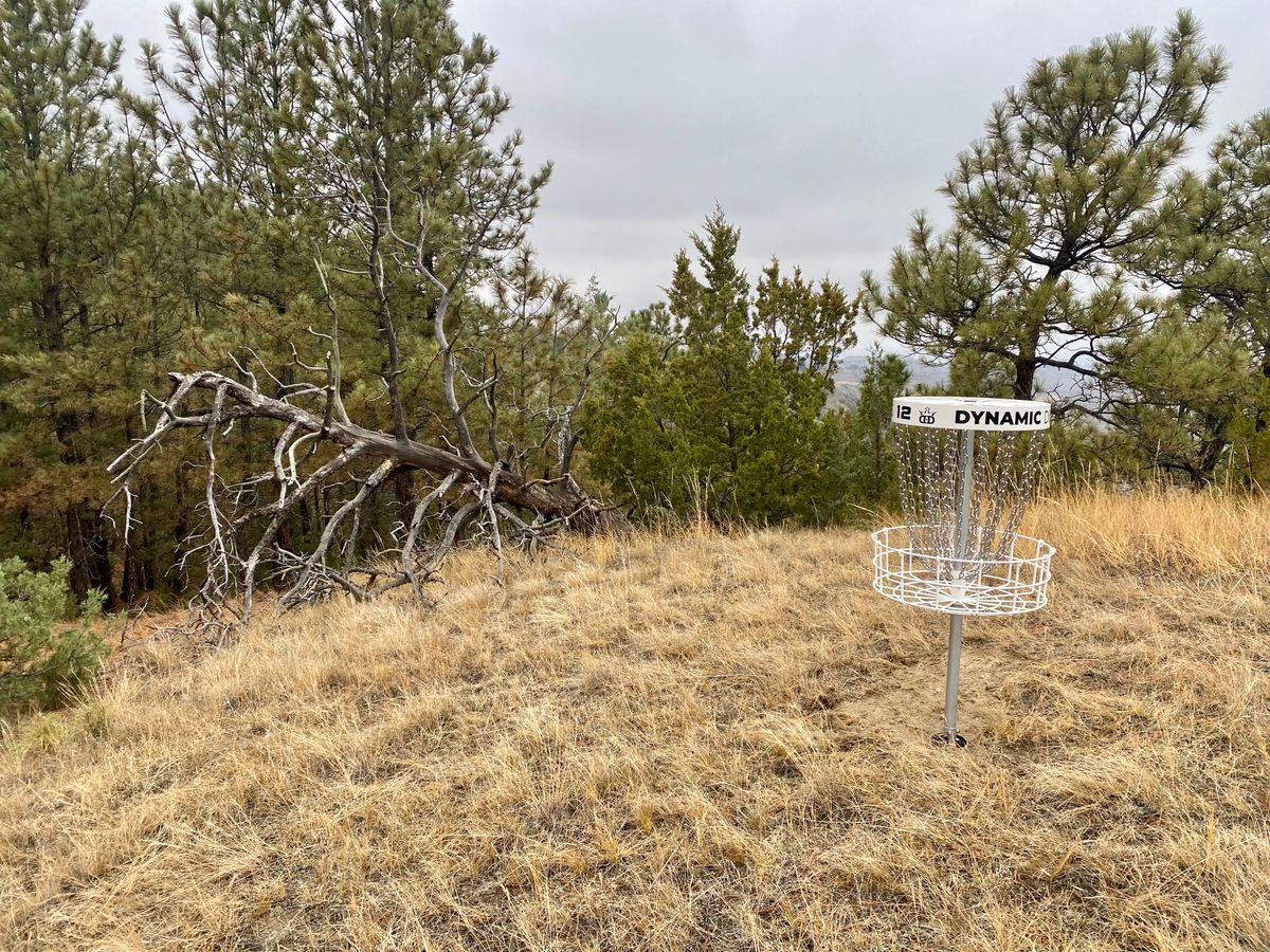 Hole 12 B pin