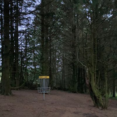Course photo