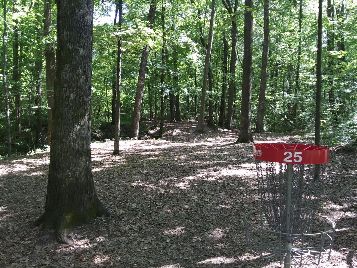 #25's red target looking toward the yellow target.
