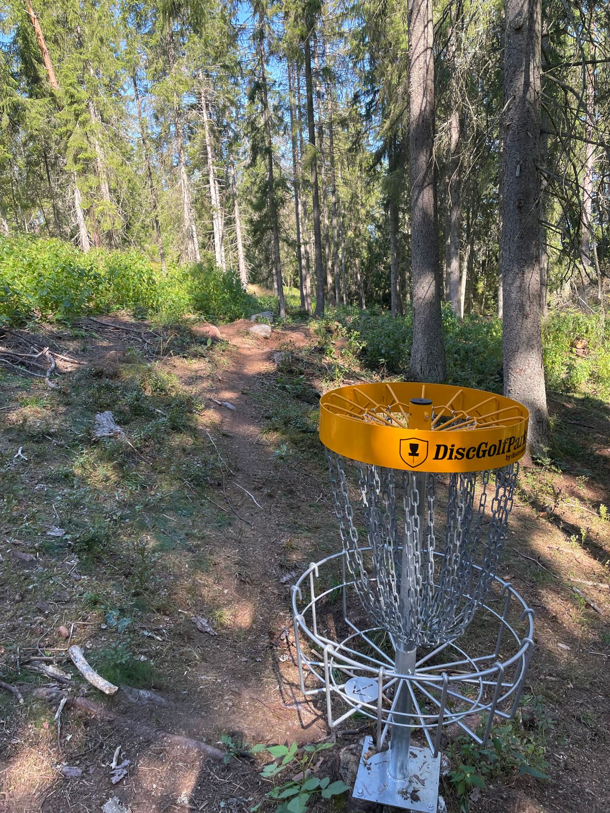 Hål 5 korg mot tee