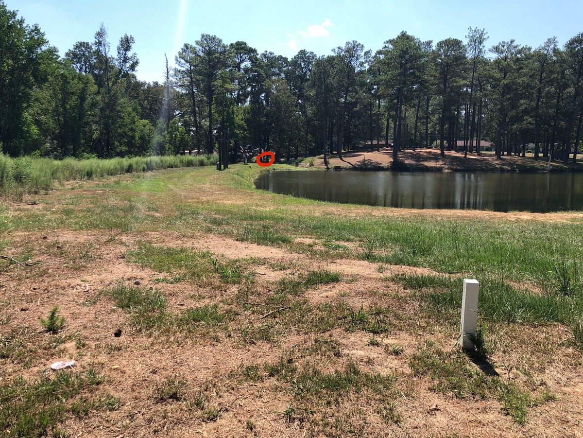 Hole 14 basket.  Water on the right, brush and downslope of the levy on the left.  What to do???