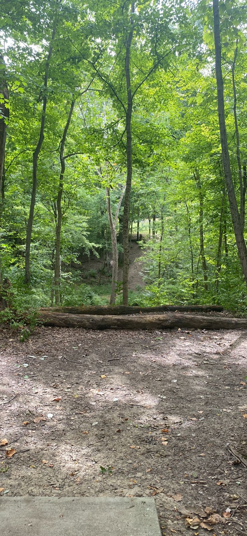 A difficult Hole 15 through a steep valley