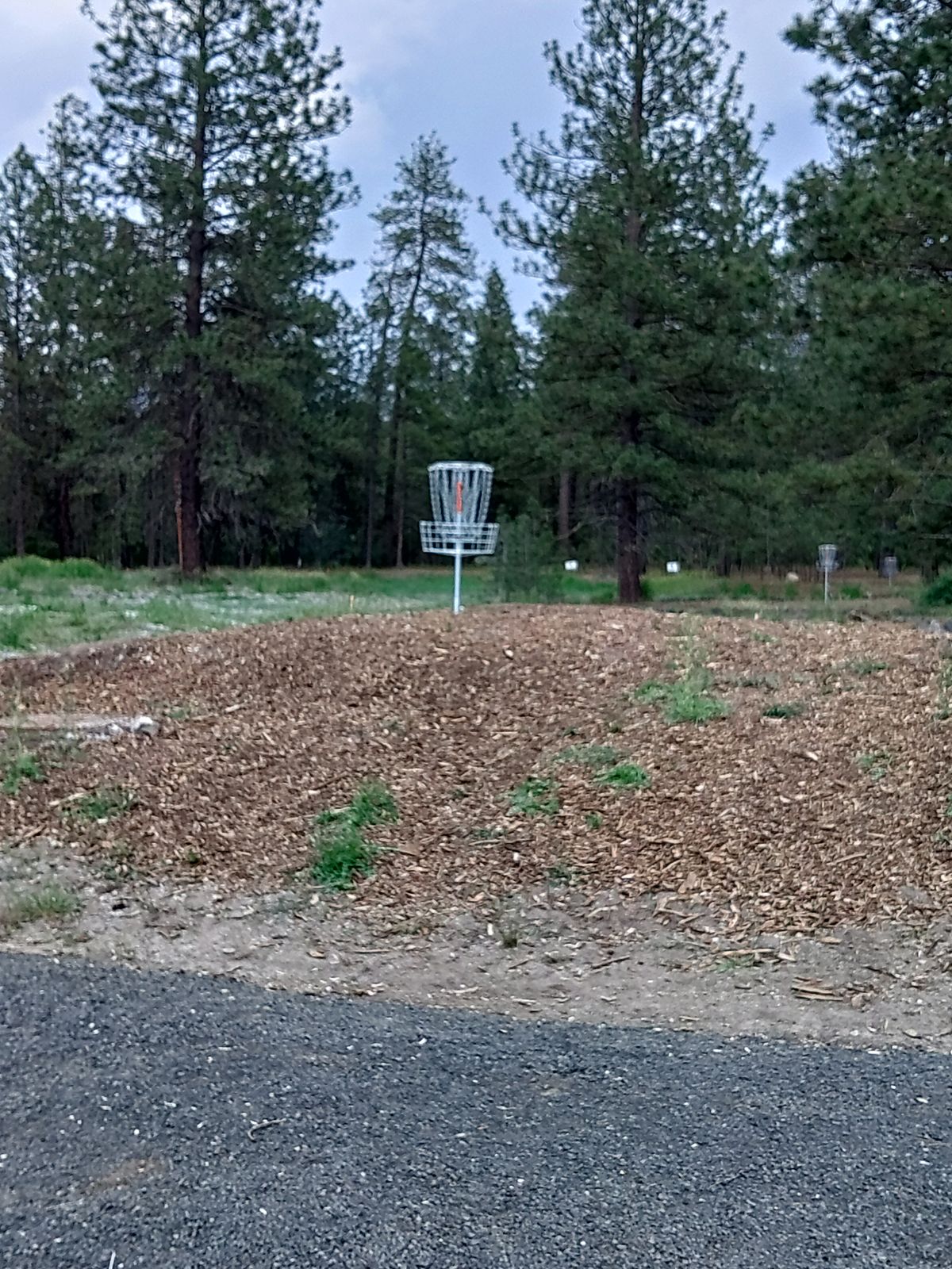 Basket 11. Hazard close by. On this one road bed in play. Right of road bed OB.