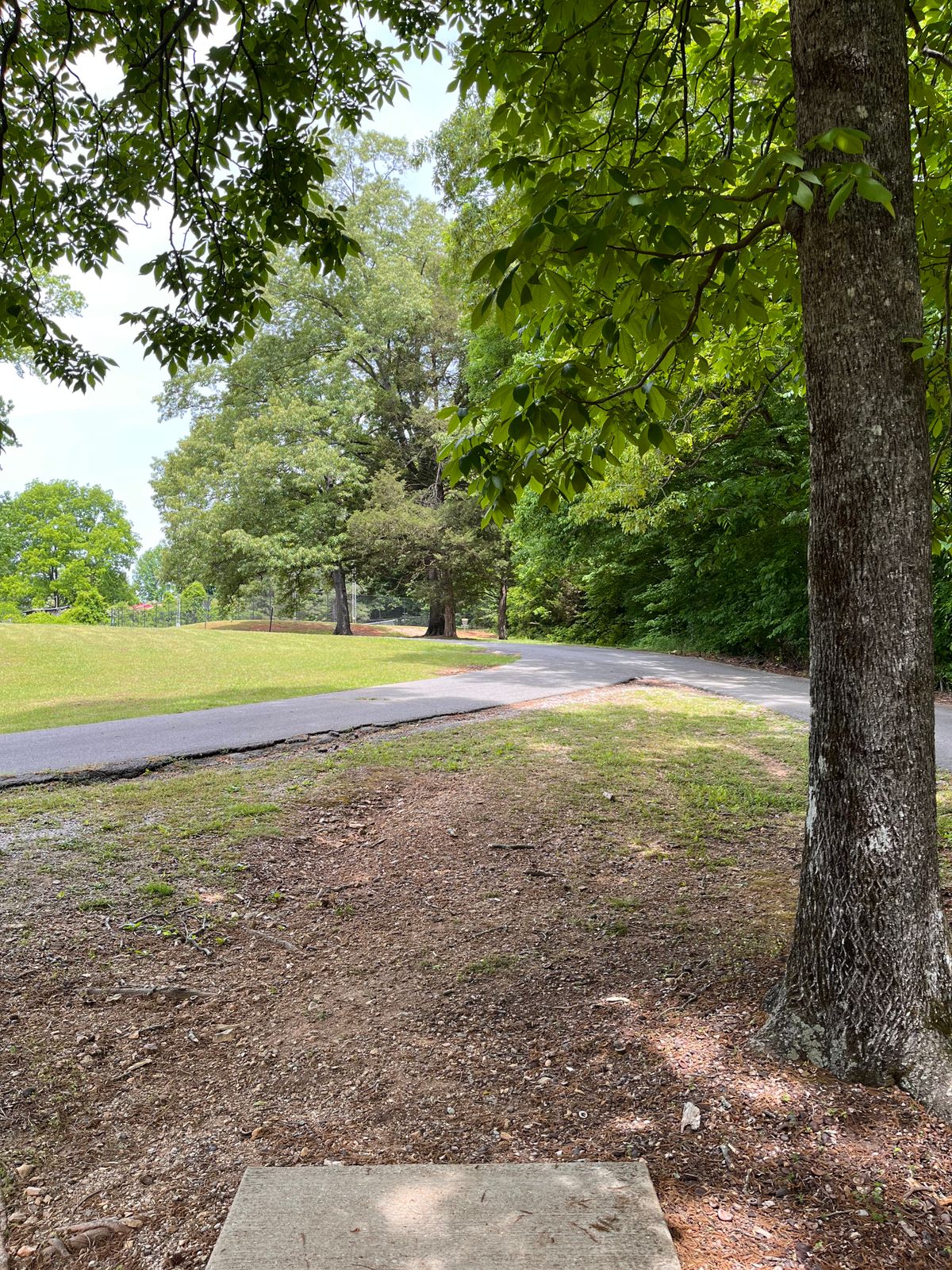Hole-13 315’ OB road and left of road