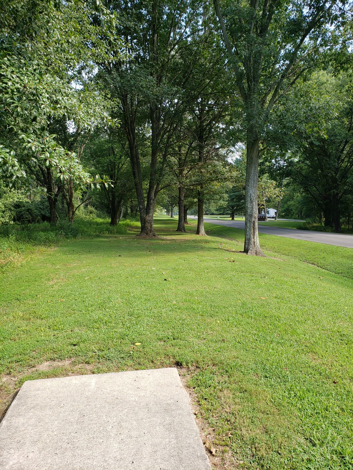 #13 Tee-Pad and Fairway alongside road.