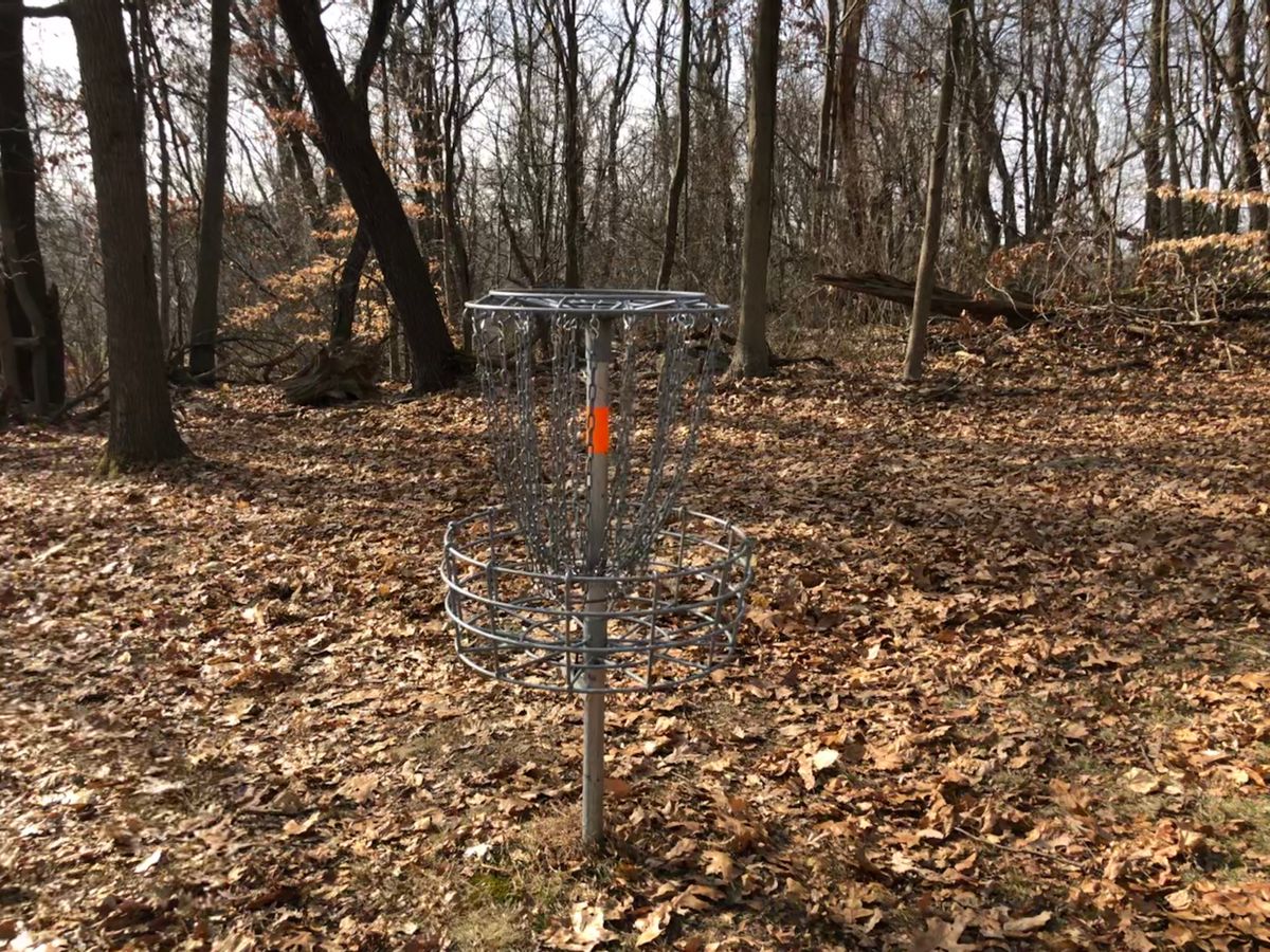 Hole 2 Basket
