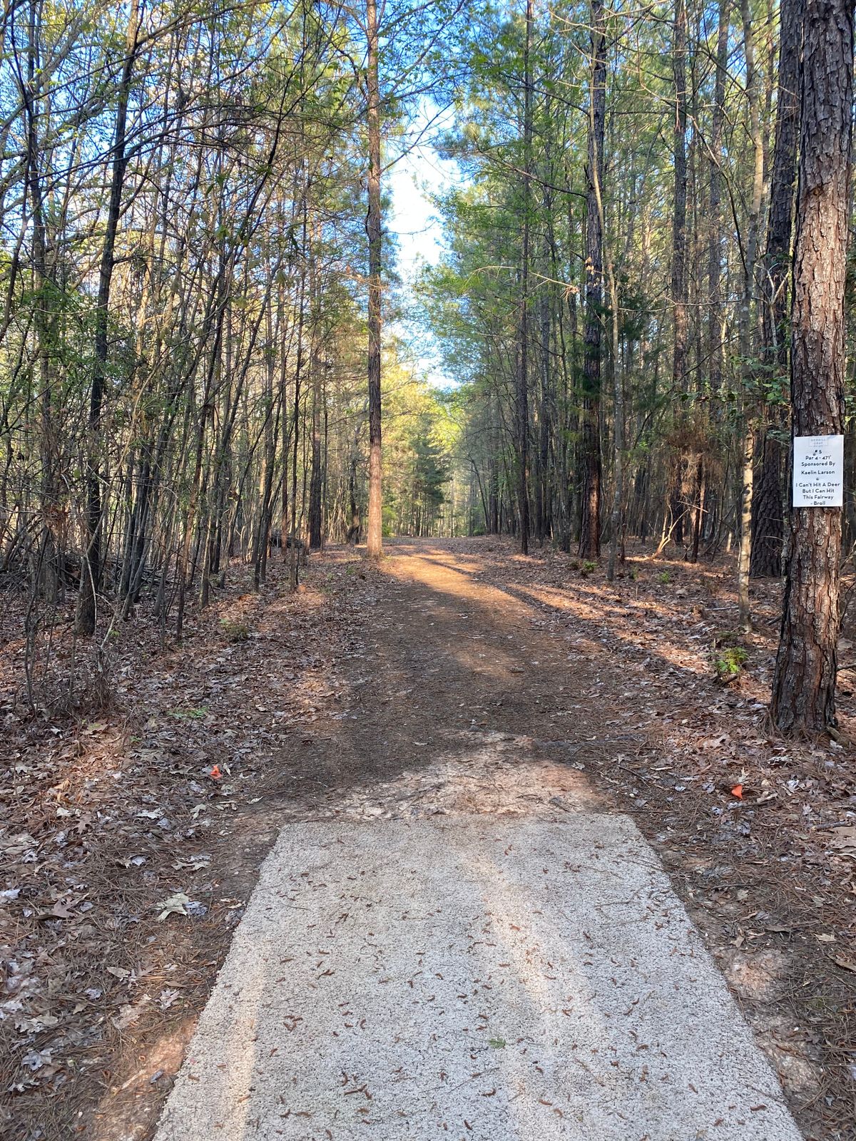 Hole 5