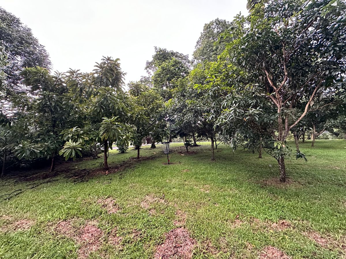 Hole 9 Basket