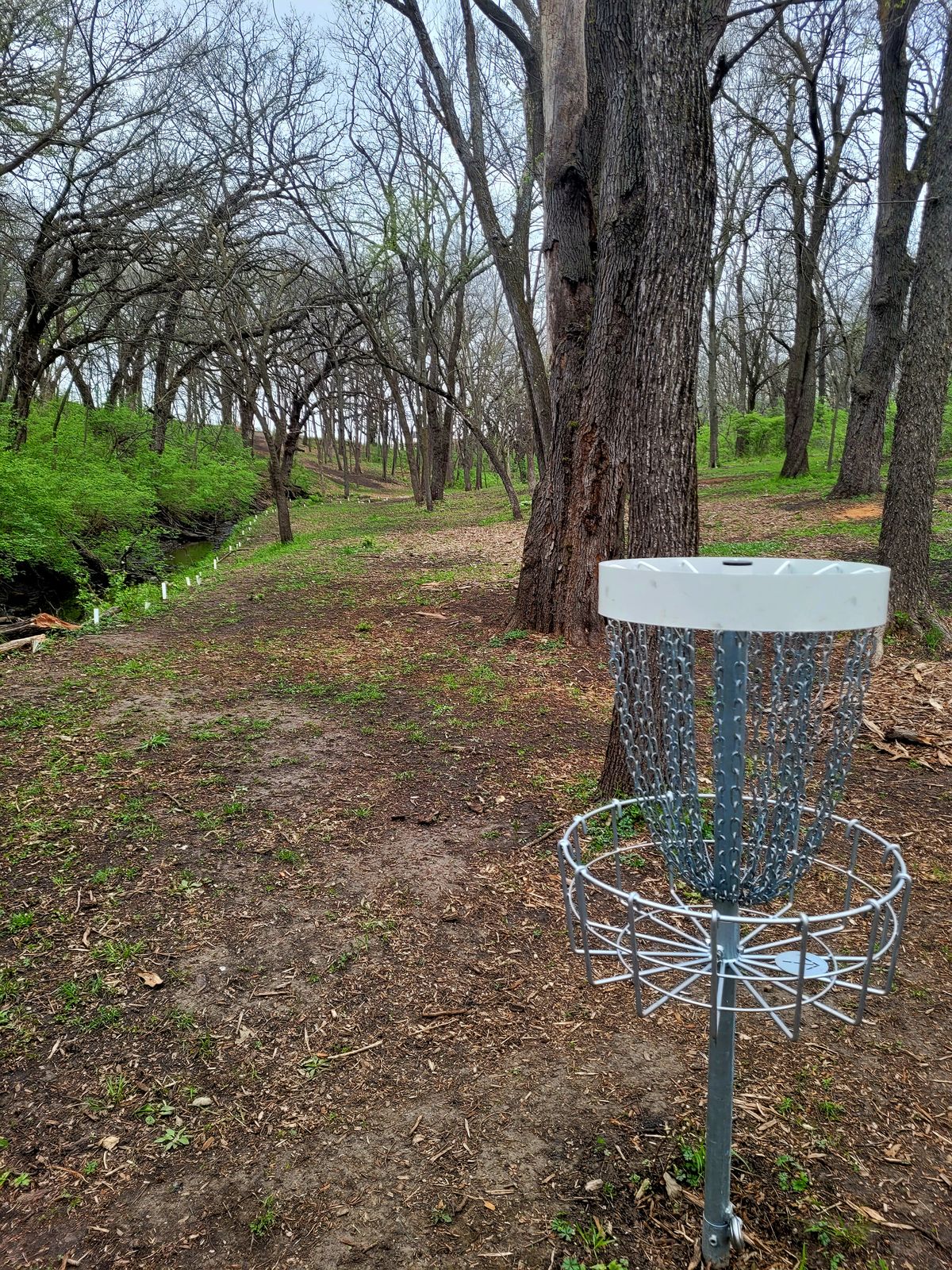 Hole 8 Basket to Fairway
