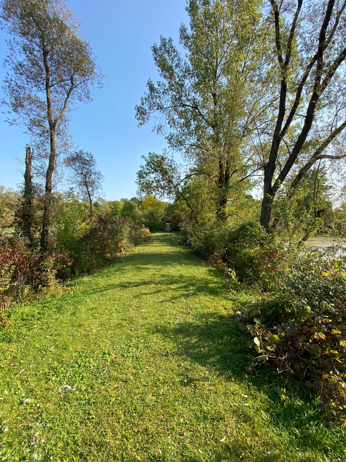 Hole #9 from the lay up spot, a treacherous approach to the basket with water on both sides