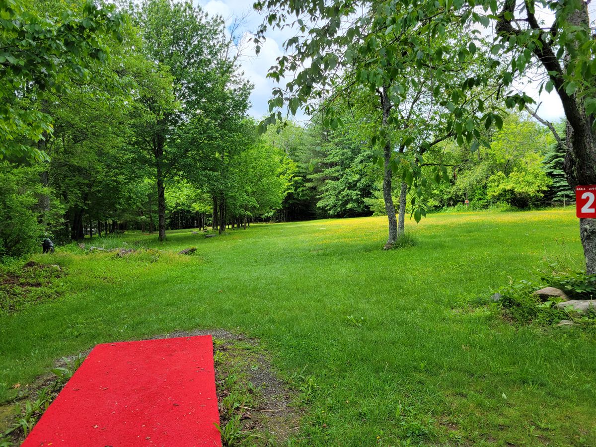 Hole 2 Tee