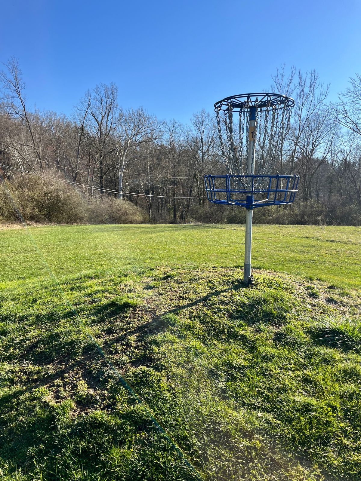 Basket