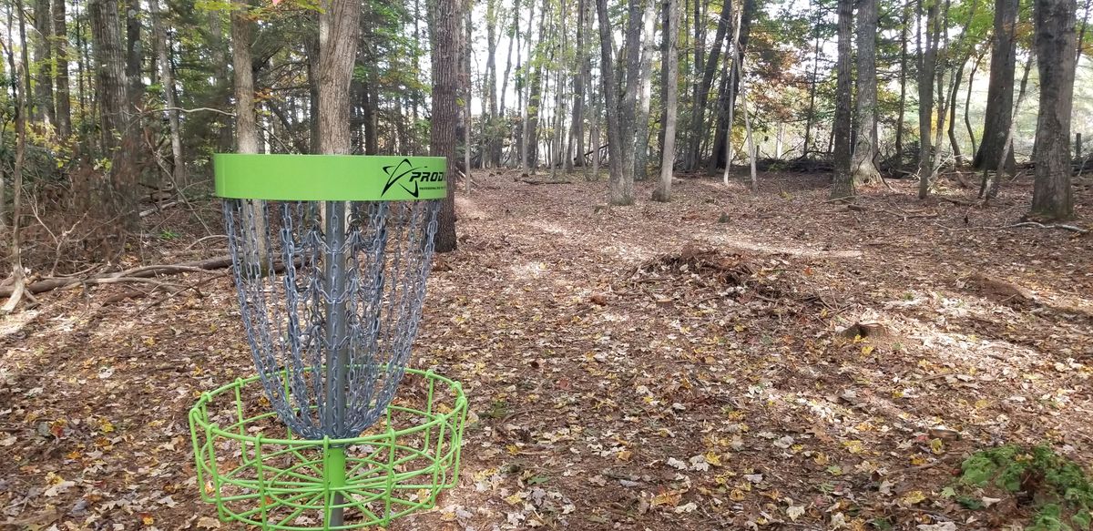 Hole 4 basket to tee